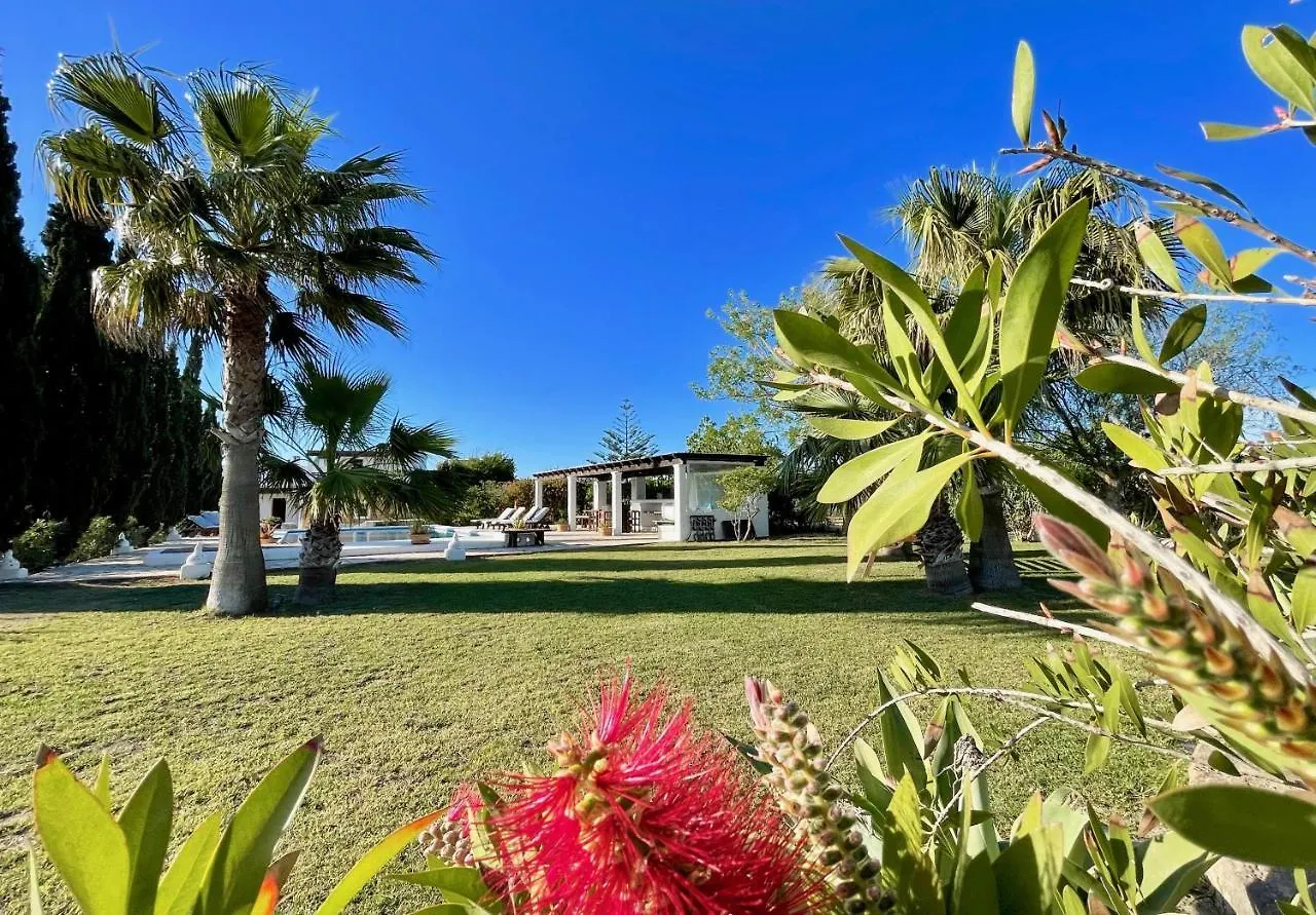 Villa El Palau 산트 호셉 데 사 탈라이아